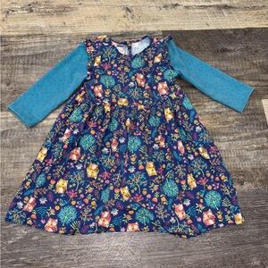 Pippa & Julie Long Sleeve dress Size 6 Owl Print Pastourelle
